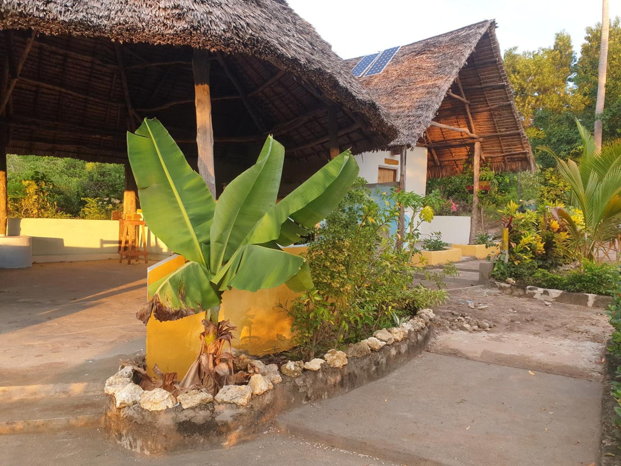 Bed and Breakfast Rasta House Kilindoni Exterior foto